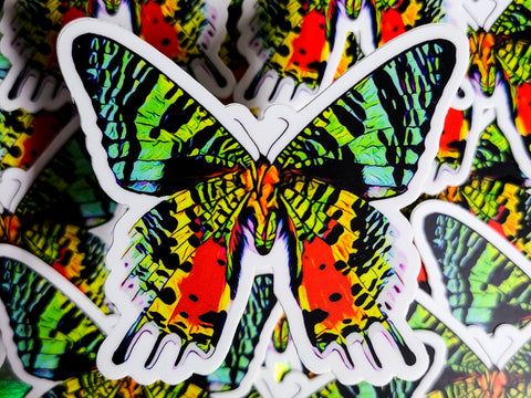 Sunset Moth Sticker