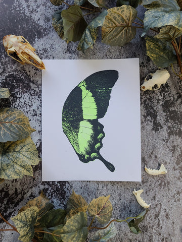 "Green Butterfly Wing" Screenprint