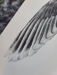"Duck Wing" Lithograph